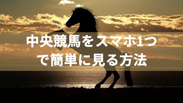 中央競馬をスマホ1つで簡単に見る方法