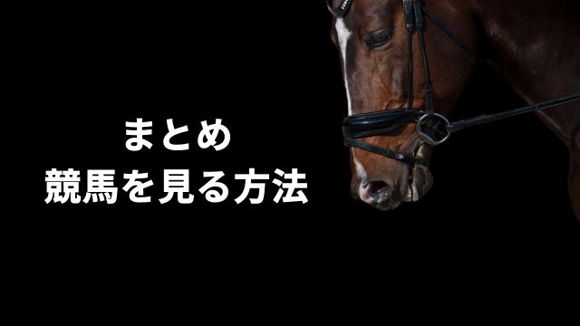 競馬を見る方法：まとめ