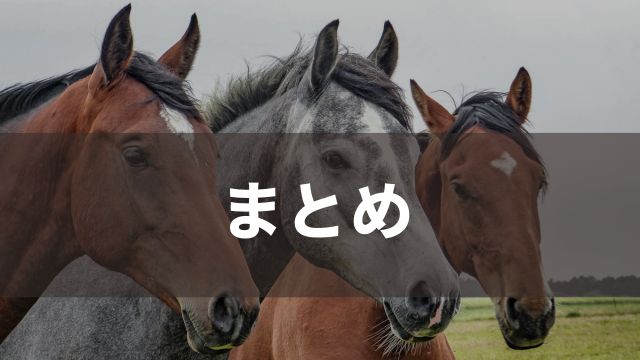 まとめ：競馬の楽しみ方を初心者向けに解説