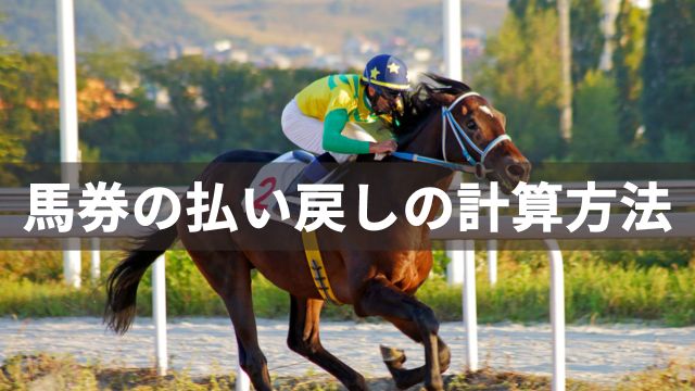 馬券の払い戻しの計算方法