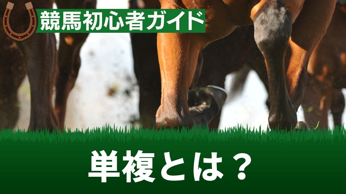 単複とは？意味や馬券の買い方・メリット等を解説【競馬初心者向け】