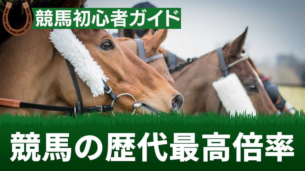 競馬の歴代最高倍率と倍率の高いレースの選び方5選【券種別】