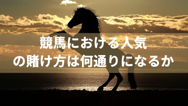 競馬における人気の賭け方は何通りになるか