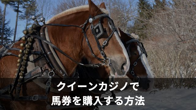 クイーンカジノで馬券を購入する方法