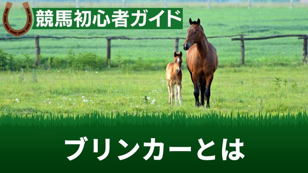 競馬のブリンカーの効果とは？メンコとの違いやデメリット・予想のコツを解説