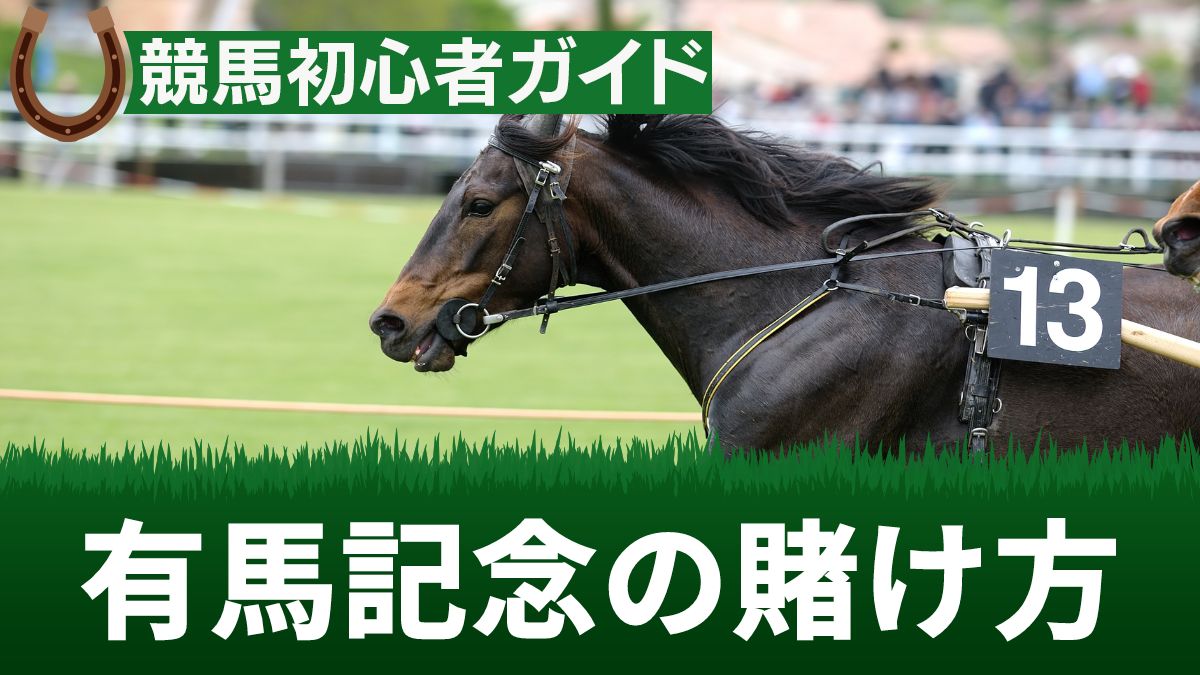 【競馬】有馬記念の賭け方を解説!ネットから競馬に賭ける方法【初心者向け】