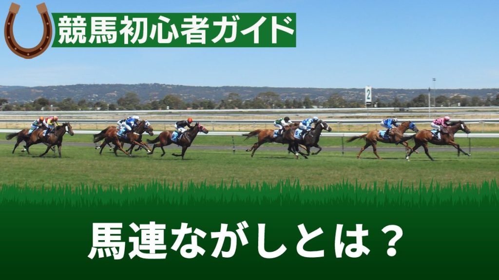 馬連流しとは？点数や最強の買い方・知らなきゃ損するボックスとの違いを解説