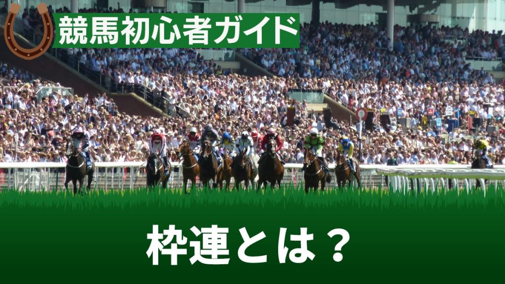 競馬の枠連とは？馬連との違いや平均配当・必ず儲かるうまい買い方を解説