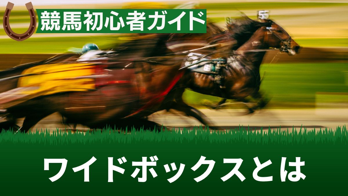 競馬のワイドボックスとは？買い方や点数の出し方・流しやフォーメーションとの違いを解説