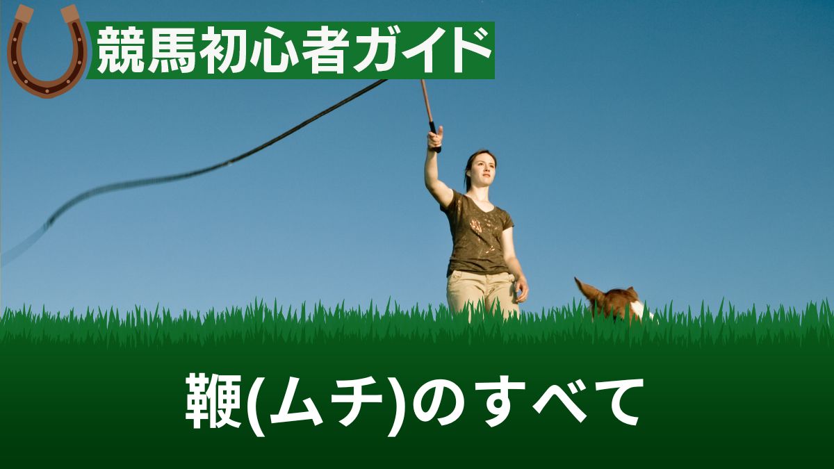 競馬の鞭は痛い?鞭の長さや名前・効果と回数のルールを解説【レプリカの探し方あり】
