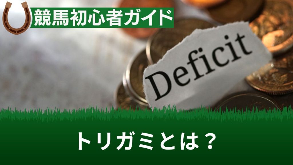 競馬のトリガミとは？意味や計算方法・税金について解説【トリガミ防止策あり】