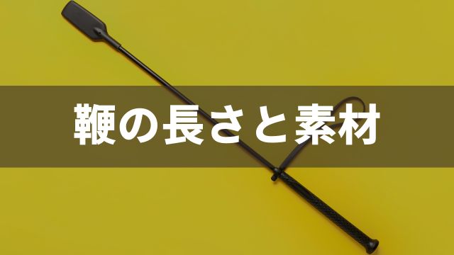競馬における鞭の長さと素材