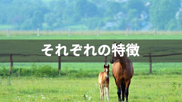 競馬・競輪・競艇・オートレースそれぞれの特徴