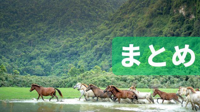 まとめ:笠松競馬の八百長と不祥事