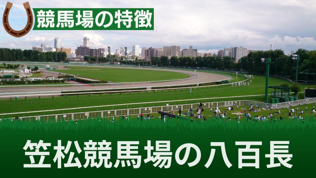 笠松競馬の八百長と不祥事！処分を受けた騎手は誰なのか・現在八百長はあるのか解説