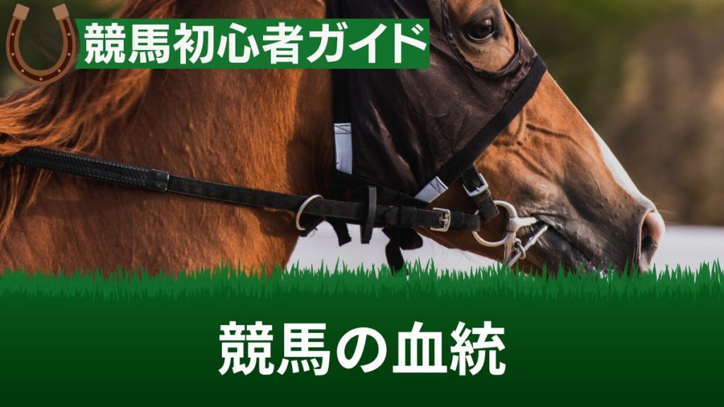 競馬に血統は関係ない？血統・系統の特徴・見方を解説！勉強できるおすすめの本も紹介