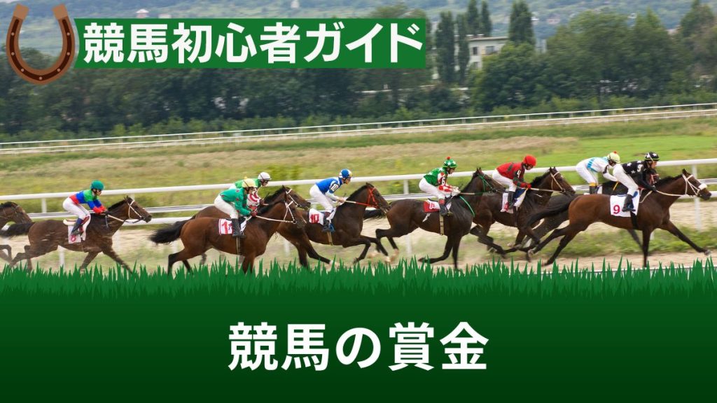 競馬の賞金は何着までもらえる？分配の仕組みと生産者への配分・税金の計算方法を解説