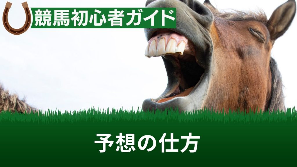 競馬予想の仕方(やり方)を初心者向けに解説！知らないと損な「重要ファクター」とは