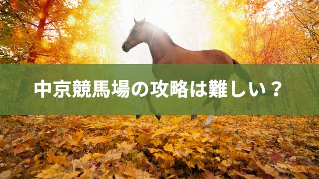 中京競馬場の攻略は難しい？