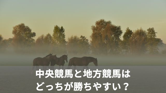 中央競馬と地方競馬はどっちが勝ちやすい?