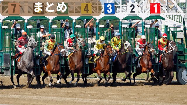 競馬の枠順:まとめ
