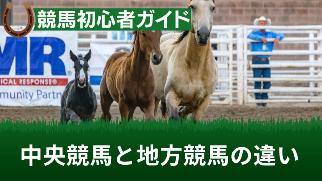 中央競馬と地方競馬の違い9選！賞金やレベル(実力差)・どっちが勝ちやすいかを解説