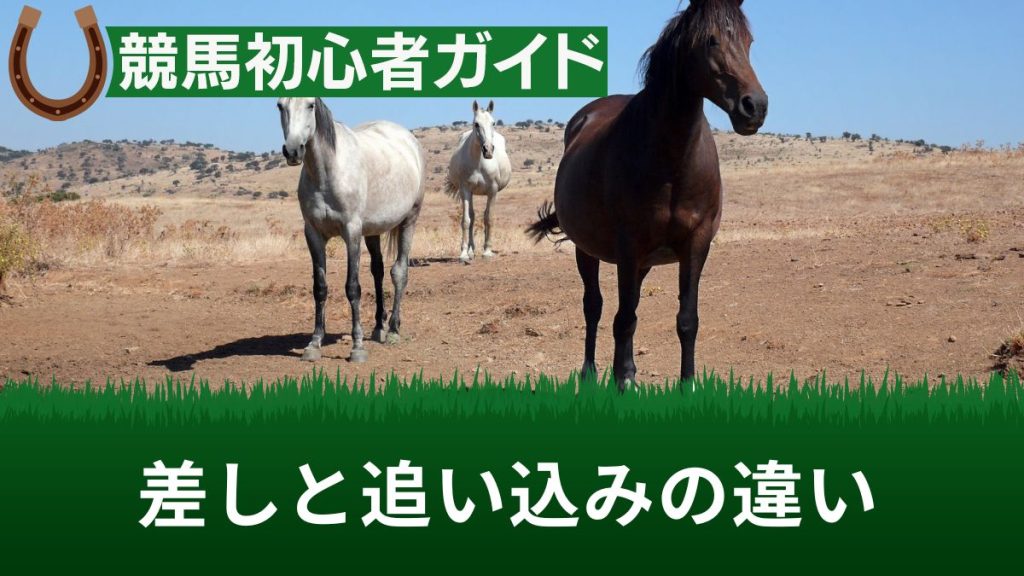競馬の差しと追い込みの違いは？出走表での見方や脚質の調べ方も解説【脚質一覧あり】