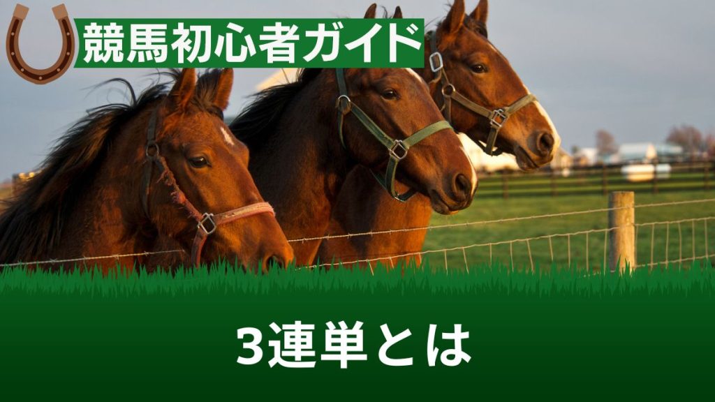 競馬の3連単とは？買い方・当たる確率・平均配当・過去の最高額など徹底解説