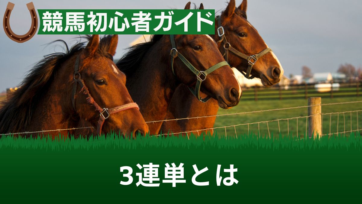 競馬の3連単とは？買い方・当たる確率・平均配当・過去の最高額など徹底解説