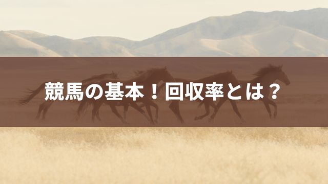 競馬の基本!回収率とは?