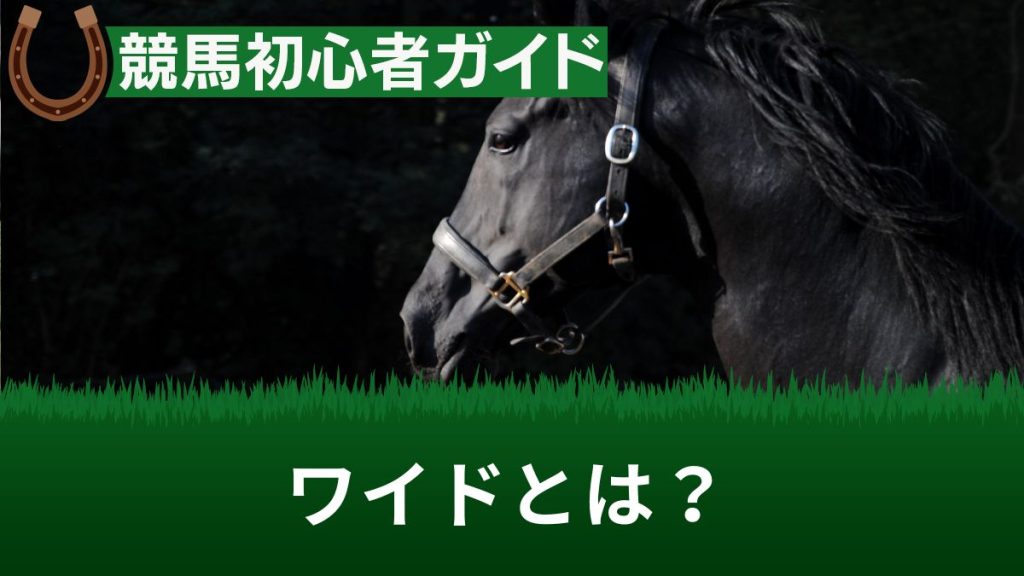 競馬のワイドとは？賭け方・書き方・オッズ計算と確率を初心者にもわかりやすく解説