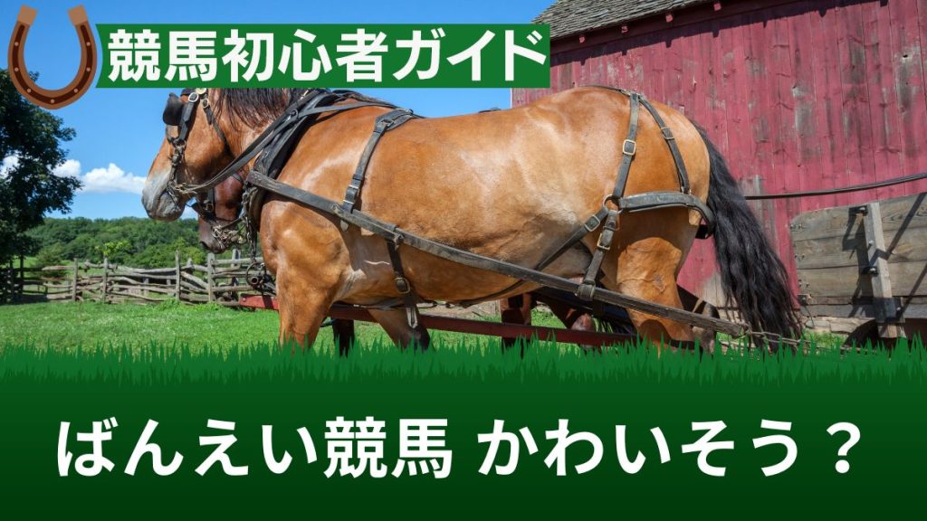 ばんえい競馬に「馬がかわいそう」と批判の声！海外の反応や死亡事故について解説