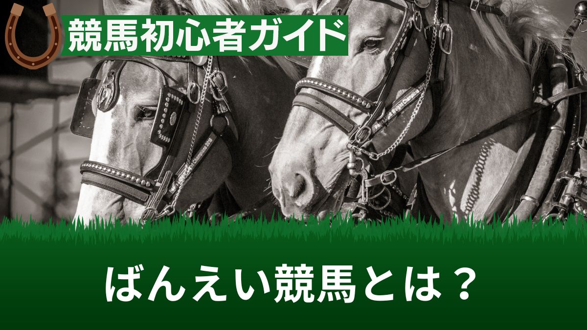 ばんえい競馬とは？予想の仕方や馬券が当たるおすすめの買い方を解説