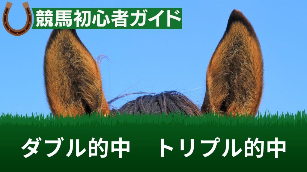 競馬のダブル的中とトリプル的中とは？ワイド多点買いで高配当を手に入れよう