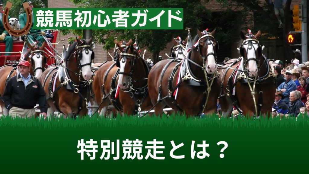 競馬の特別競走とは？特別レースとの違いや意味を解説【有名な特別競走一覧あり】