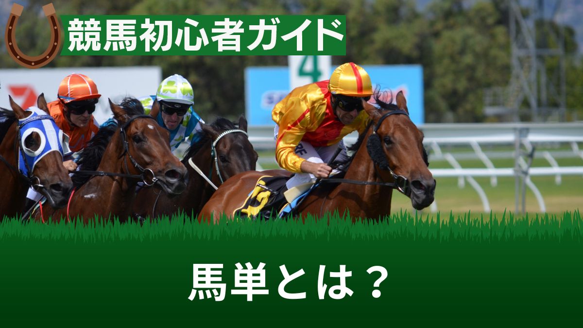 競馬の馬単とは?最強の買い方や馬連との違い・同着の場合を解説【配当と確率あり】