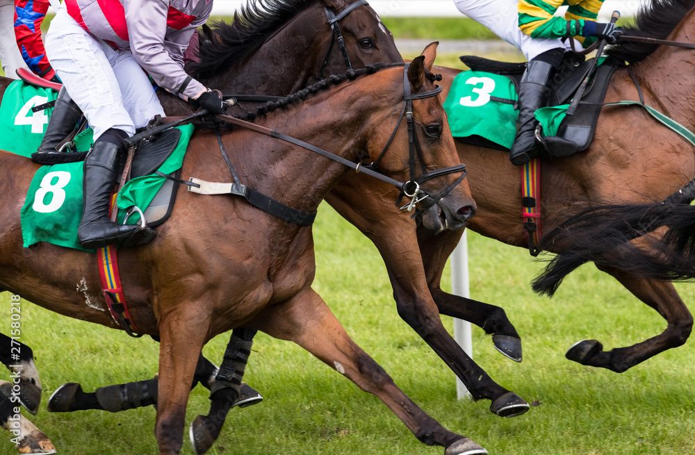競馬のレースごとの斤量の決め方・ルール