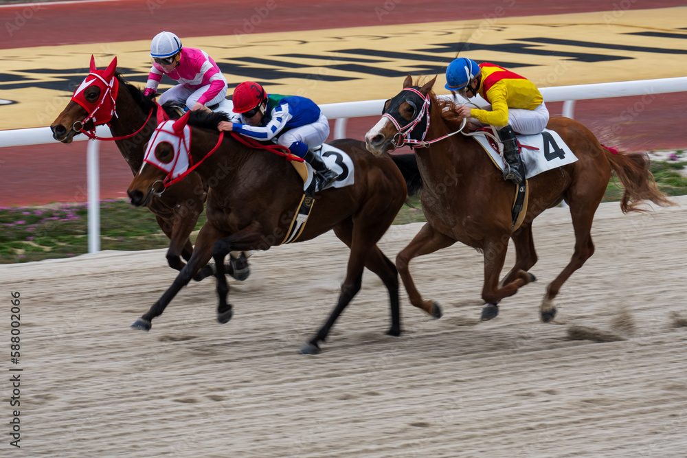 馬連の最高配当ランキングTOP3