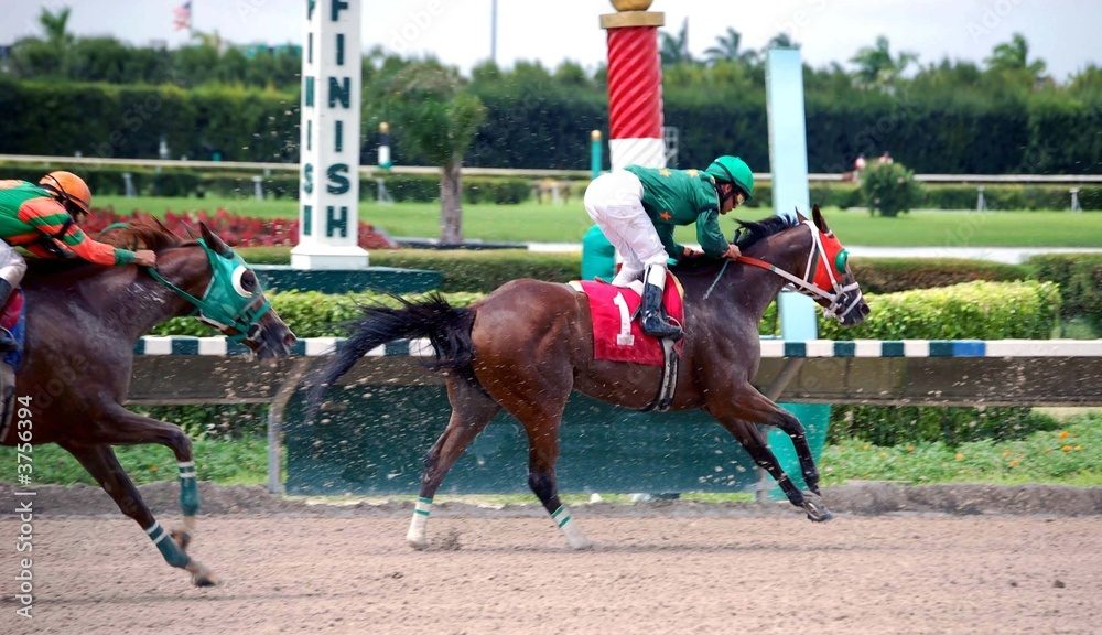 競馬での「3連複軸一頭流し」とは？