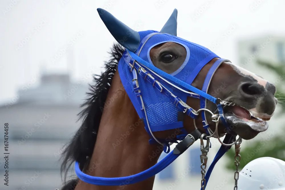 競馬におけるサラブレッドとは？