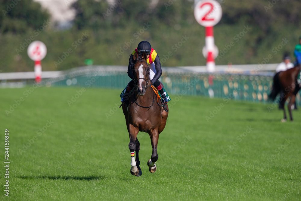 競馬でマルチで馬券を購入するメリット
