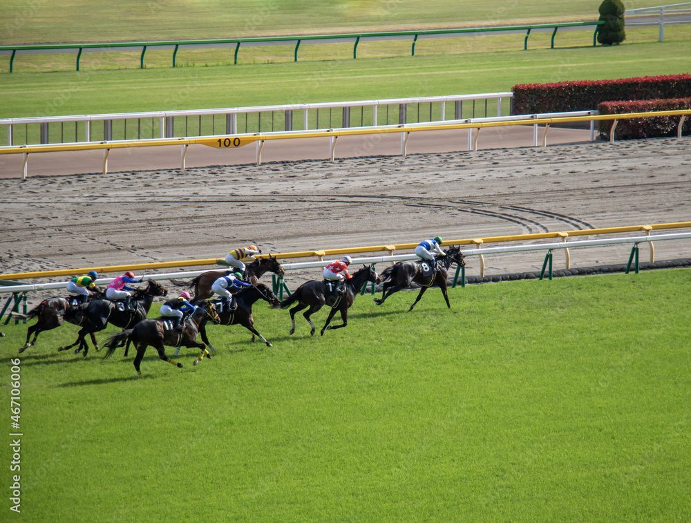 競馬のマルチでの購入点数は何とおり？