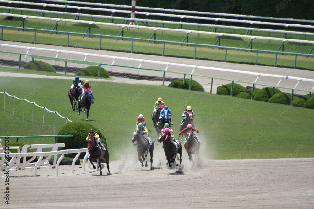 控除率を踏まえて馬券で勝つためのポイント
