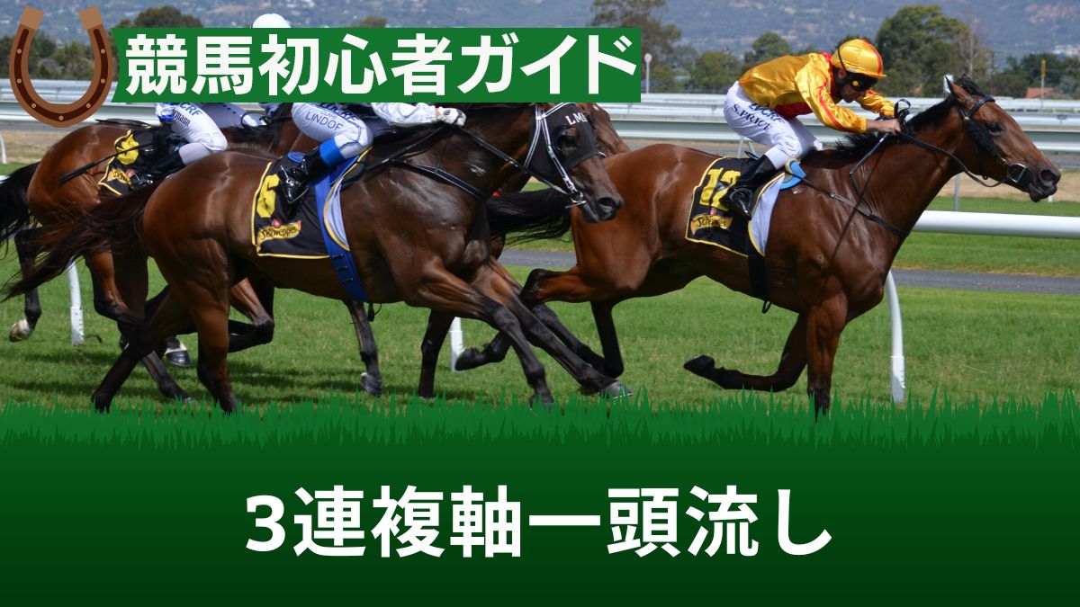 競馬の「3連複軸一頭流し」とはどのような買い方？購入点数や計算方法を解説