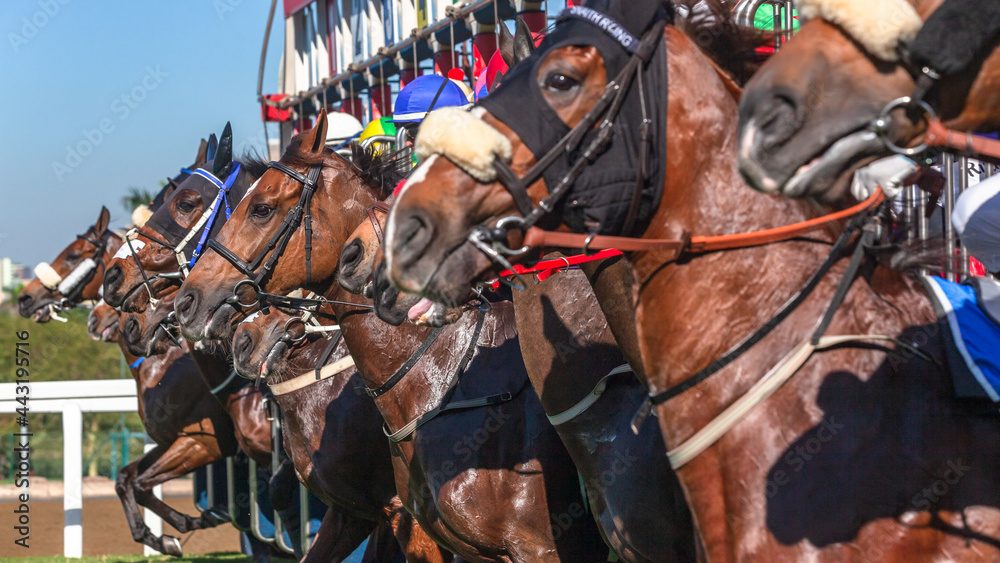 競馬のグレードレース(重賞)とは