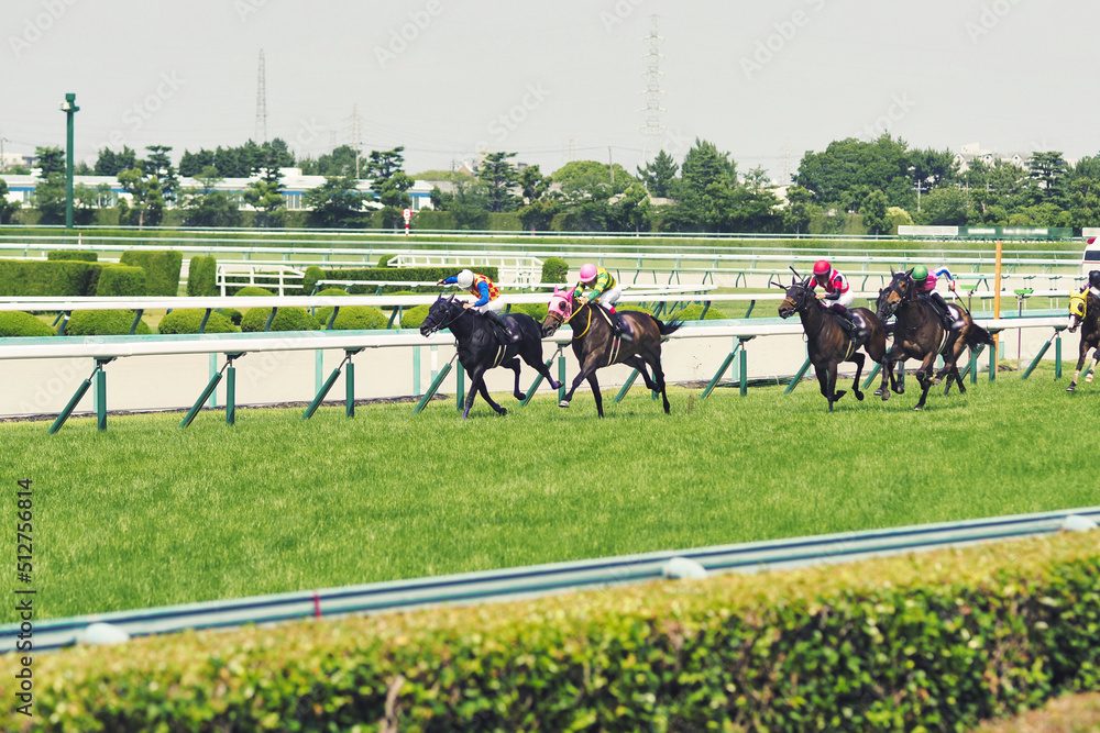 【2026年最新】競馬のグレードレース全日程