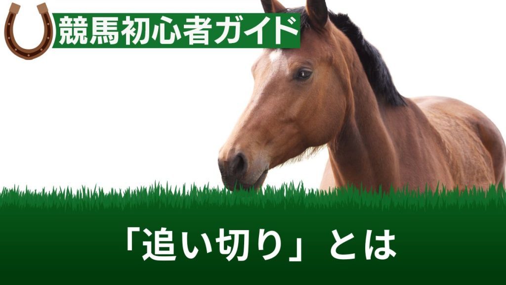 競馬の追い切りとは？いつ行われるか、動画の見方や予想・評価方法等を解説