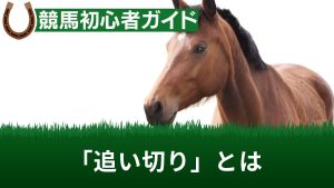 競馬の追い切りとは？いつ行われるか、動画の見方や予想・評価方法等を解説